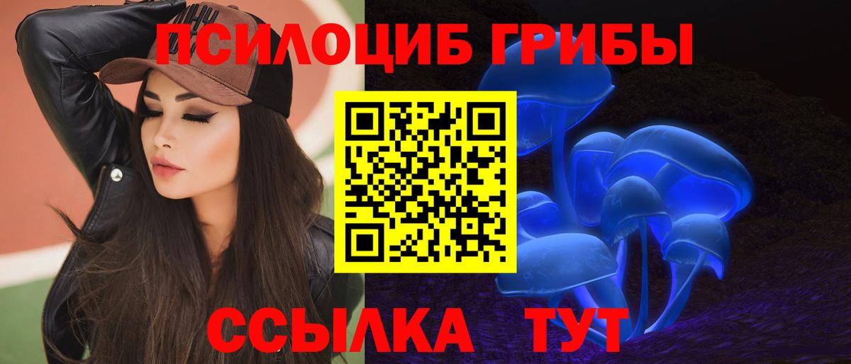 Междуреченск  Галлюциногенные грибы Magic Shrooms  Вход с VPN 