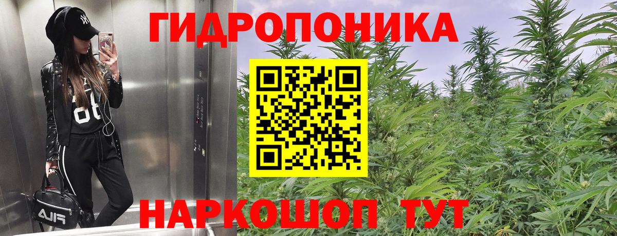 Бошки марихуана White Widow  Марихуана сатива  МАРИХУАНА White Widow  Междуреченск  Вход с VPN 